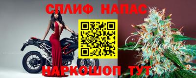 мяу мяу мука Будённовск