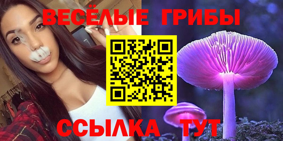 продажа наркотиков  Вход с VPN  Петропавловск-Камчатский  Галлюциногенные грибы Psilocybe 